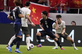 国内球迷热
